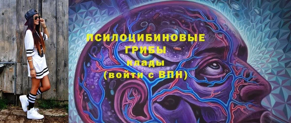 спиды Алзамай