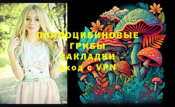 спайс Алексин